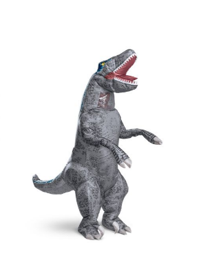 Blue Inflatable Adult