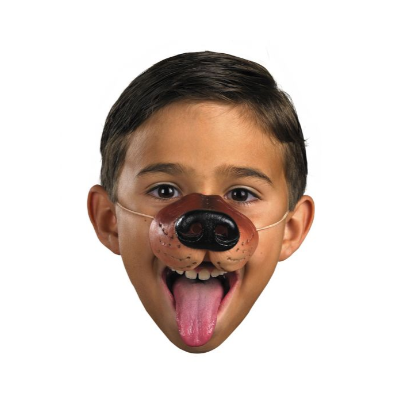 Dog Nose