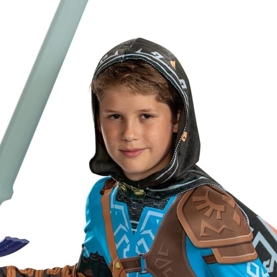 Link Tears of the Kingdom Deluxe