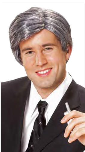 Silver Fox Grey Wig
