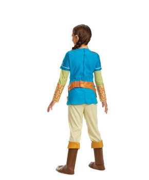 Link Breath Of The Wild Deluxe