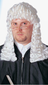 Judge Wig