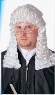 Judge Wig