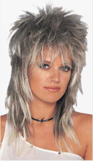 Unisex Rocker Long Wig