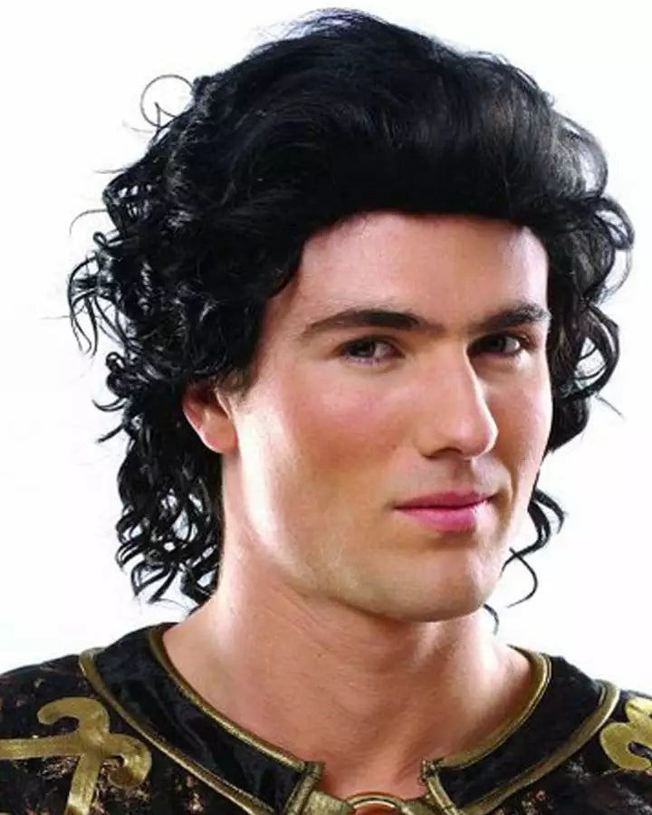 Historical Hunk Black Wig