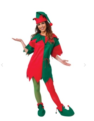 Elf Boxed Adult Costume Set