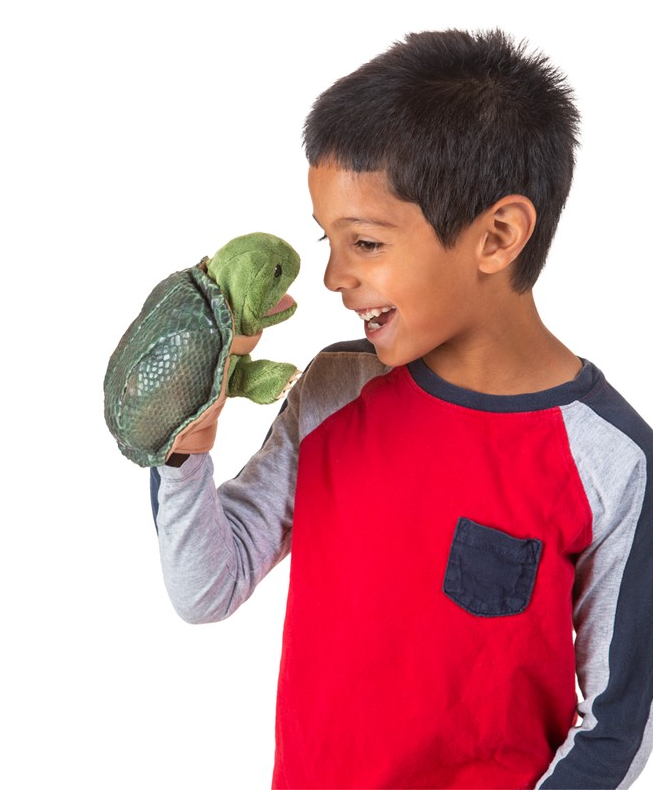 Little Turtle