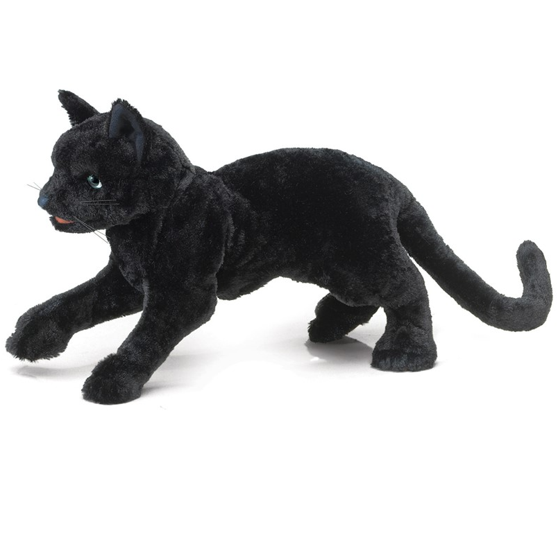 Cat, Black
