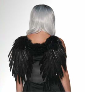 Feather Wings Black Small