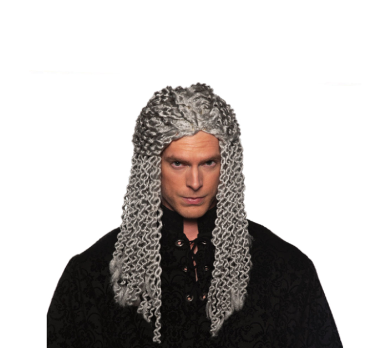 Dreads Wig Grey
