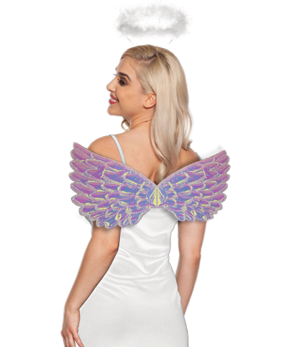 Angel Accessory Kit