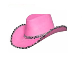 Cowboy Hat