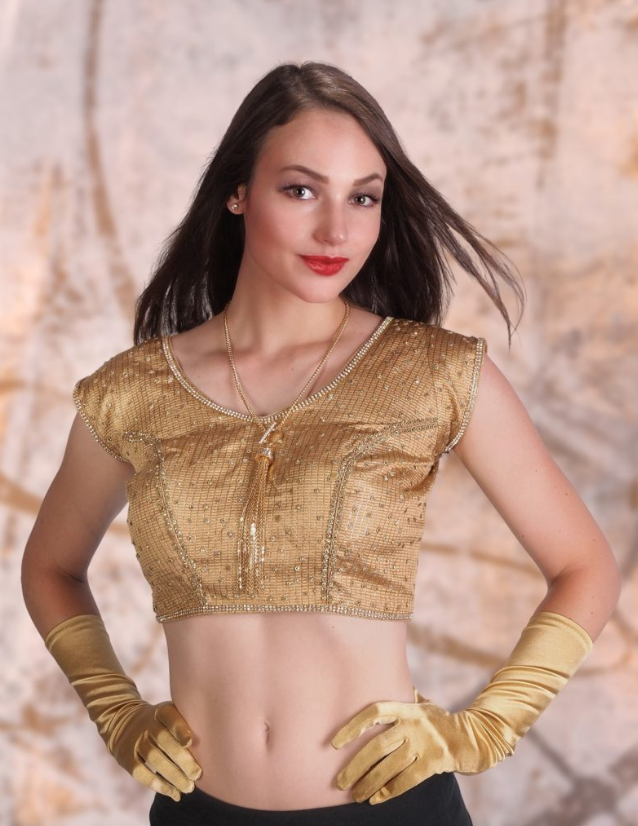 Tissue Glitter Choli Top