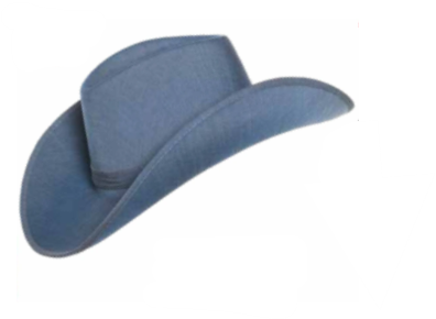 Denim Cowboy Hat