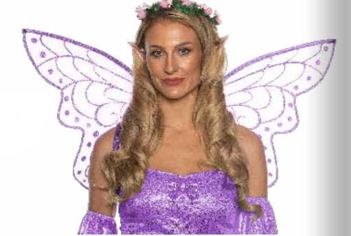 Fairy Accessory Kit