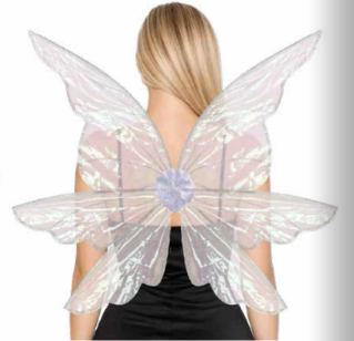 Fairy Wings