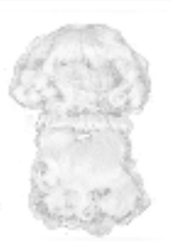Costume Wig & Beard Set