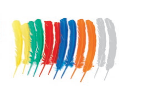 Feather-6.7" 12pcs.-Ass.