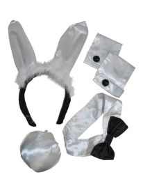 Bunny-Playboy-Set