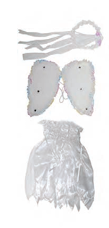 Wings Set