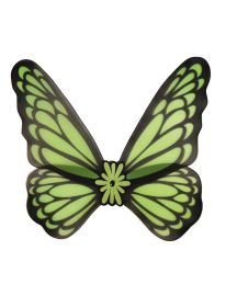Wings-Butterfly
