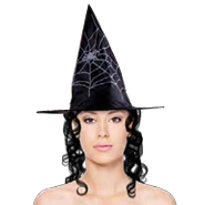 Hat Witch w/Spider in Web & Hair