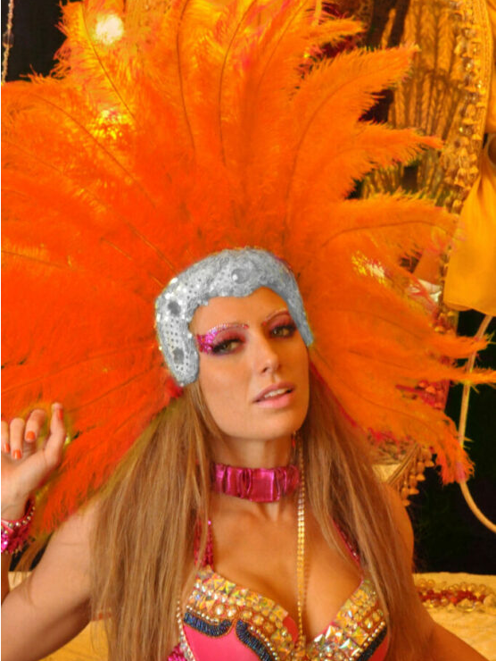 Costume Headpiece