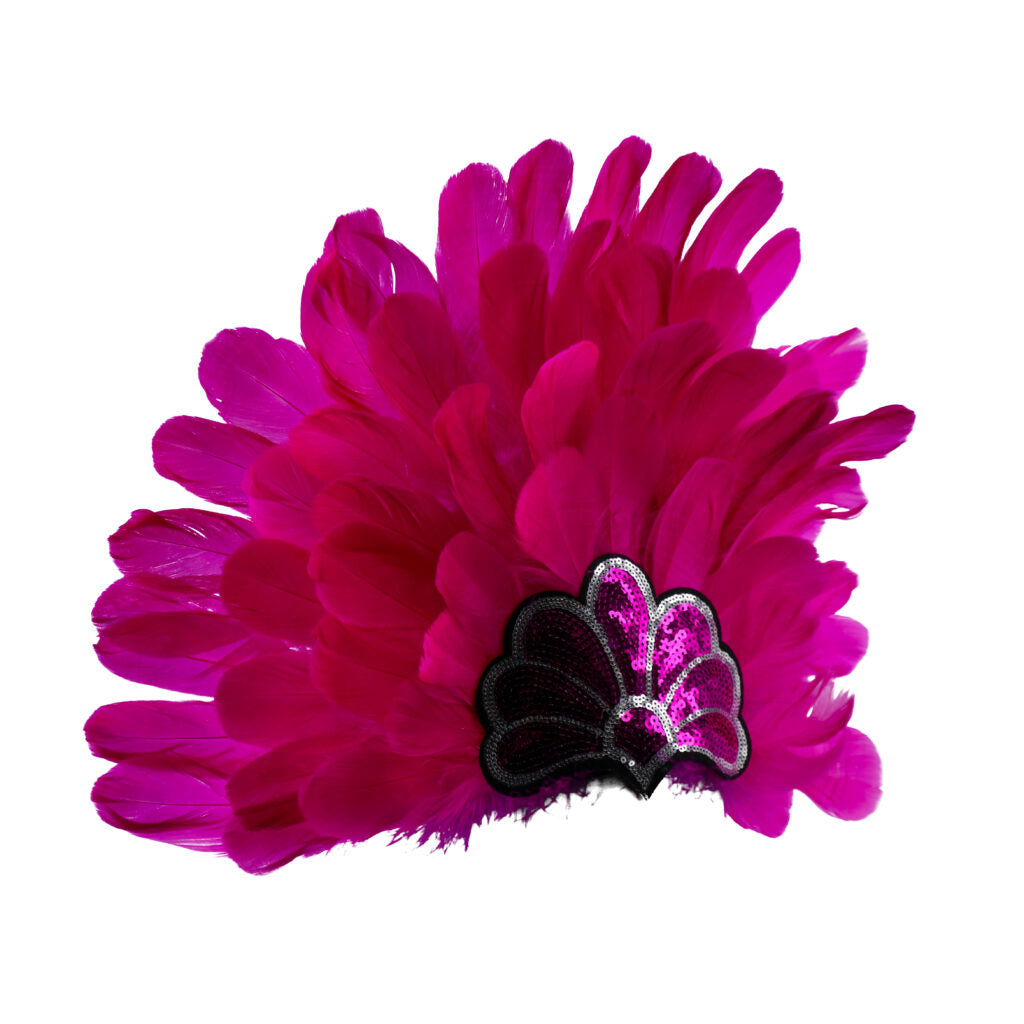 Samba Feather Headdress
