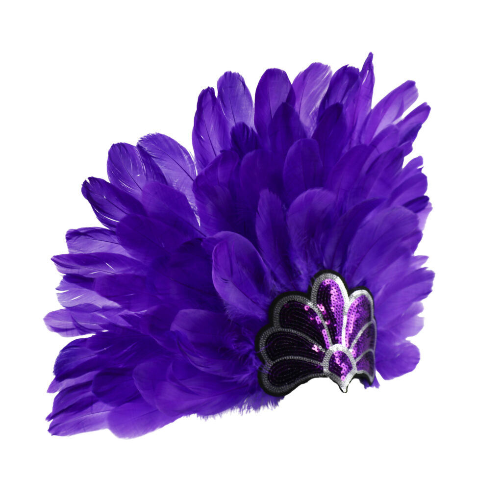 Samba Feather Headdress