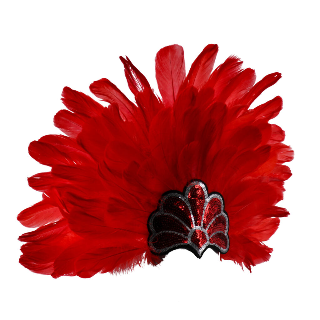 Samba Feather Headdress