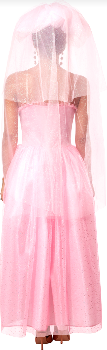 Lisa's Wedding Dress