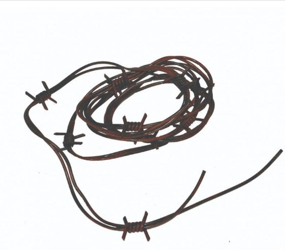 Decor-Barbed Wire-Plastic-94.5"