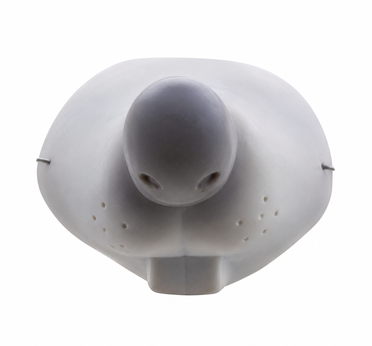 Nose Mask