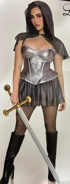 Rebel Knight