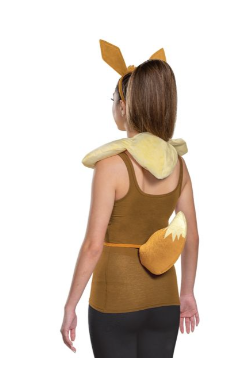 Eevee Accessory Kit