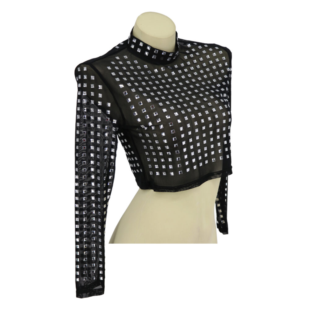 Studded Mesh Long Sleeve Crop Top