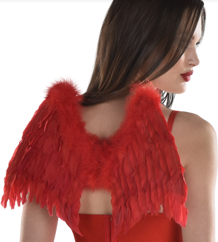 Feathered Devil Wings