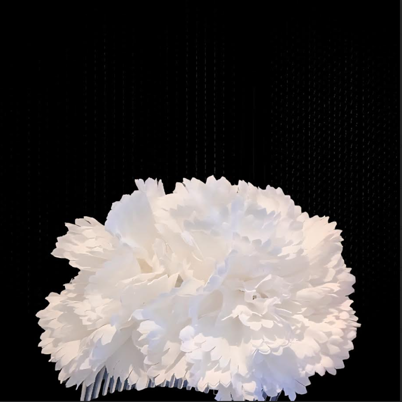 Carnation