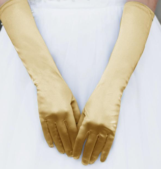 Wedding Gloves Long