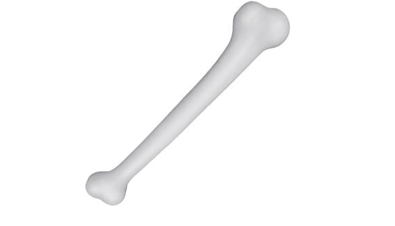Caveman Bone