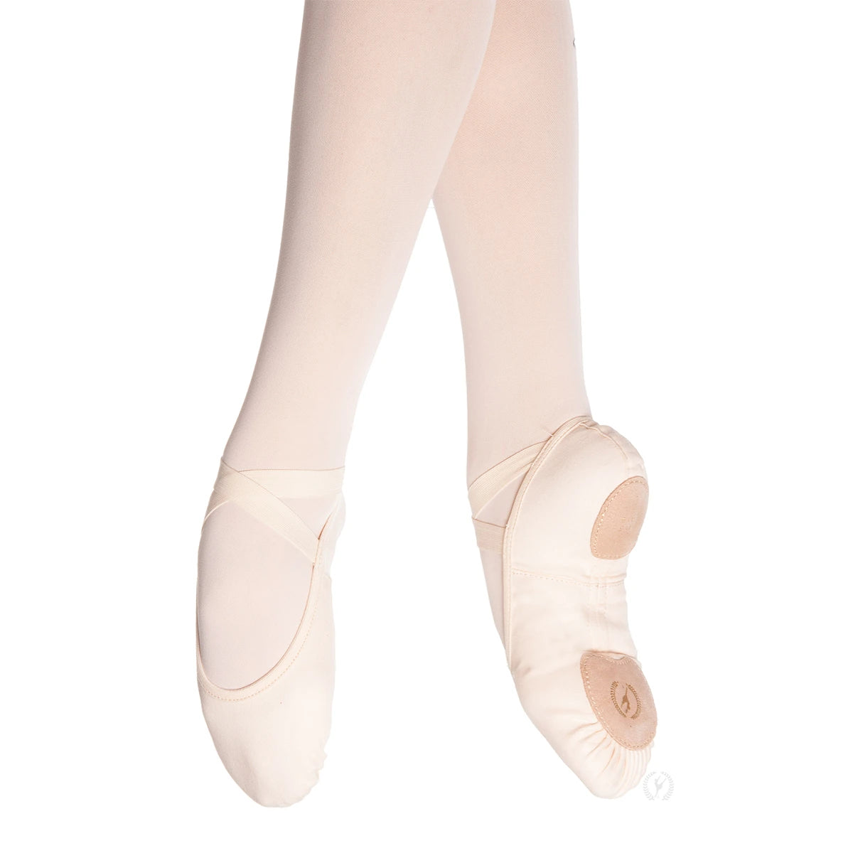 Assemblé Split Sole Canvas Ballet Shoe