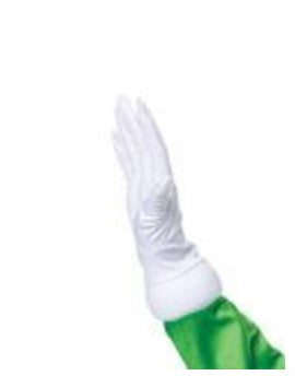 Luigi Deluxe