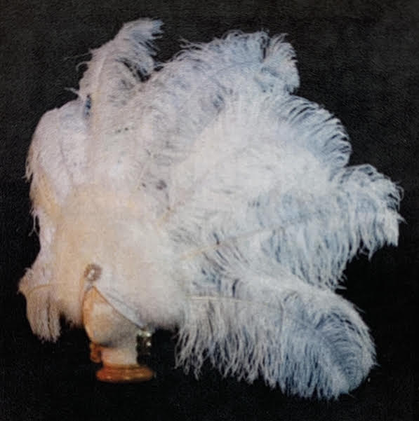 Ostrich Fan Headdress Red