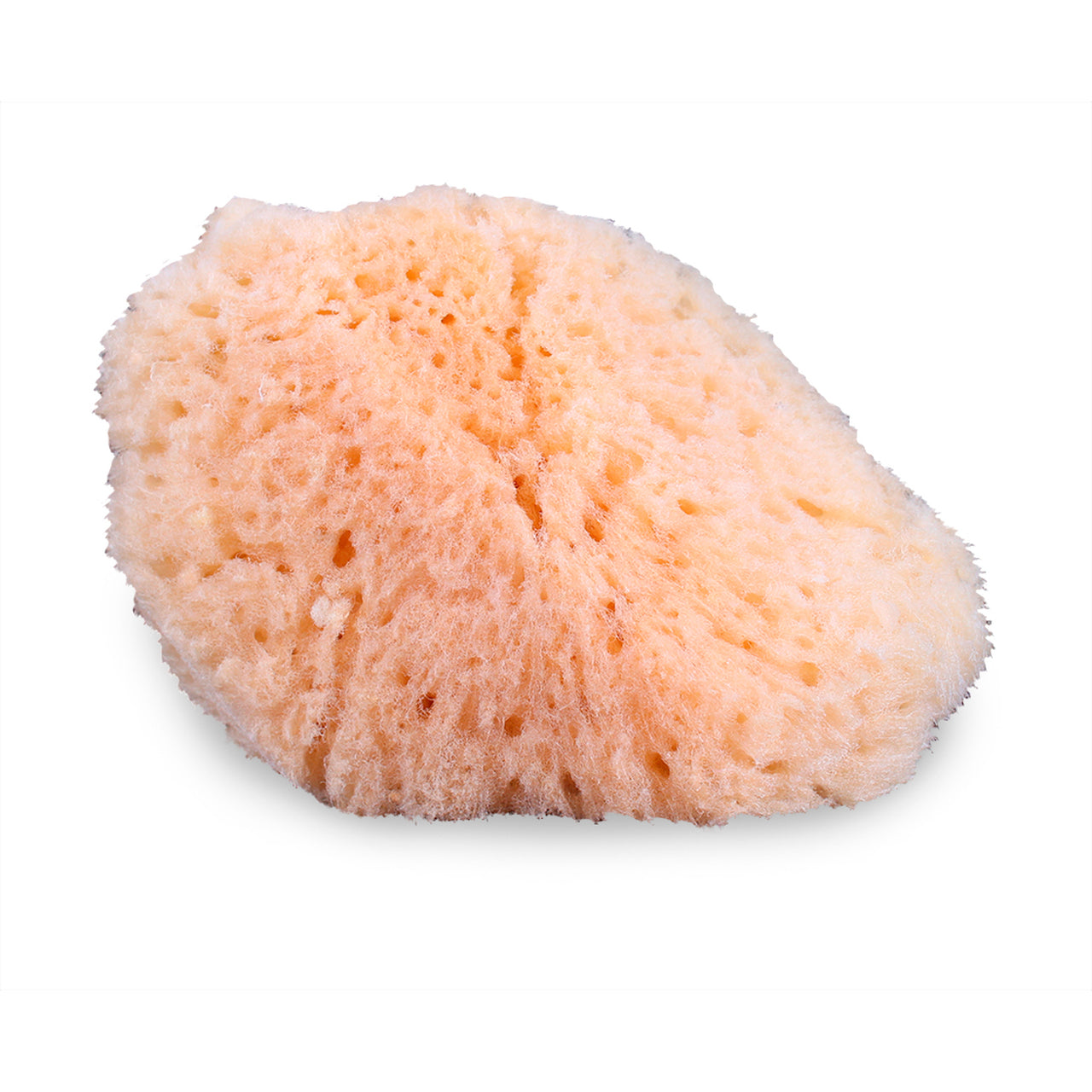 Sponge Applicator