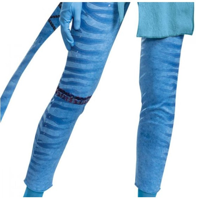 Neytiri Deluxe Adult