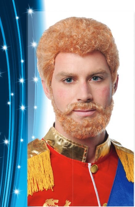 Prince Wig & Beard