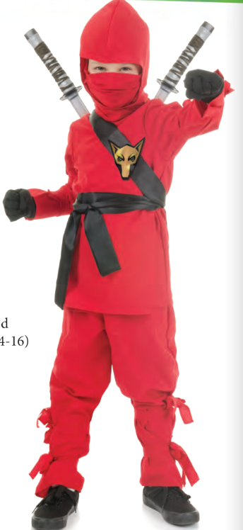 Ninja