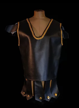 Vinyl Armor