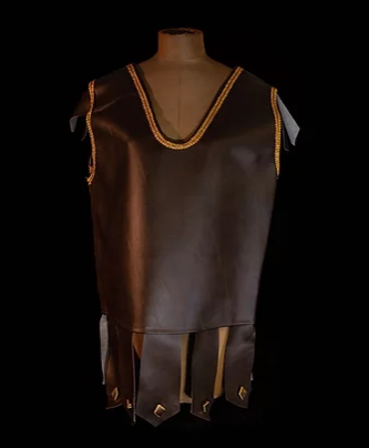 Vinyl Armor