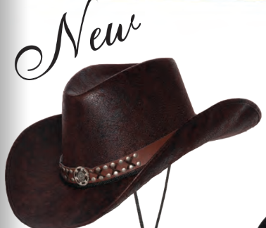 Silver Stud Cowboy Hat